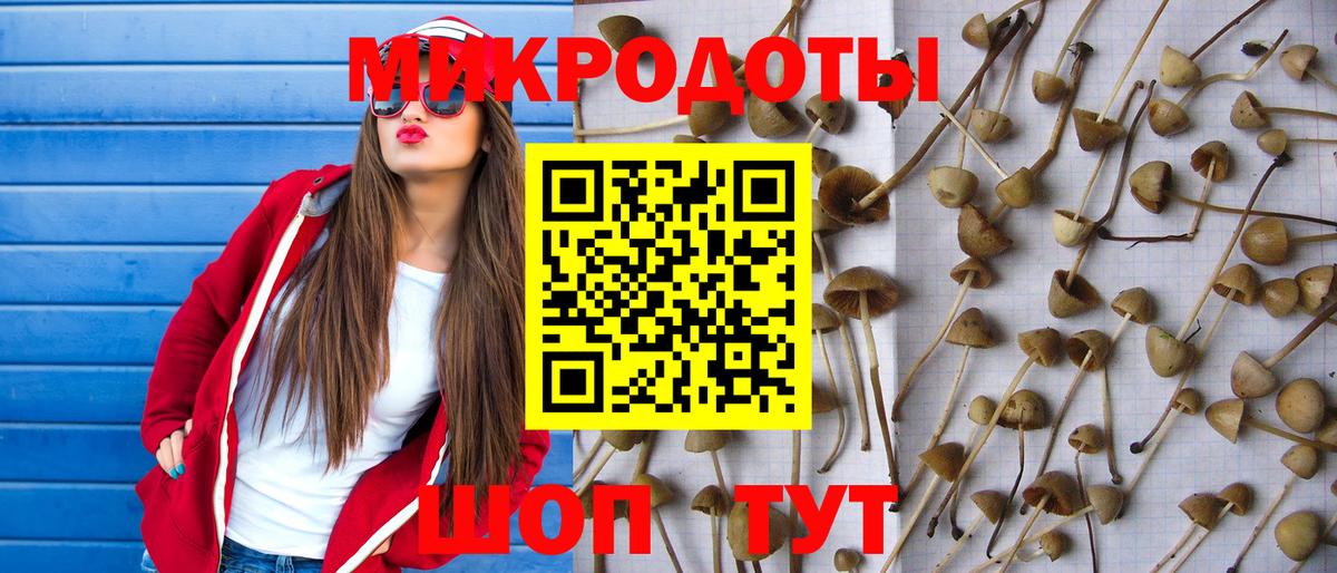 Псилоцибиновые грибы прущие грибы  Кимры  купить   Галлюциногенные грибы GOLDEN TEACHER 